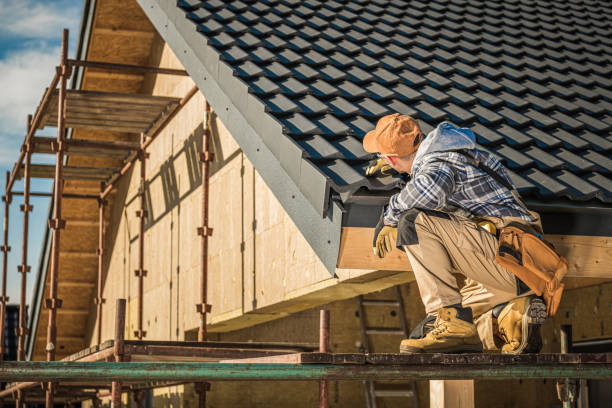 Best Skylight Installation and Repair  in Mapleton, IA