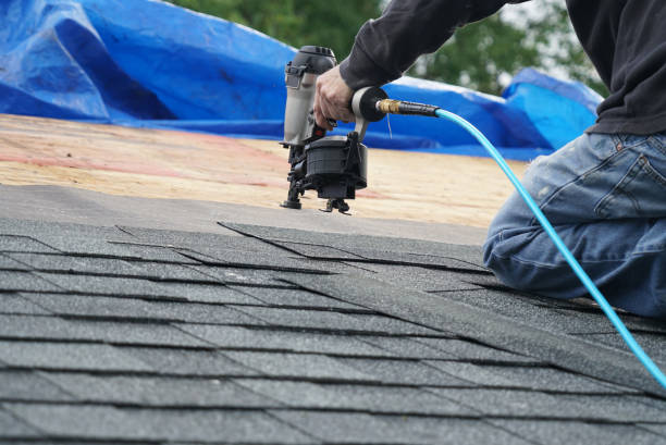 Best Gutter Installation and Repair  in Mapleton, IA